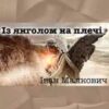 «Із янголом на плечі» Іван Малкович