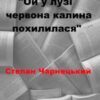 «Ой у лузі червона калина» Степан Чарнецький